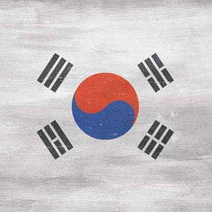 South Korean Flag Distressed Oculus Quest 2 Skin